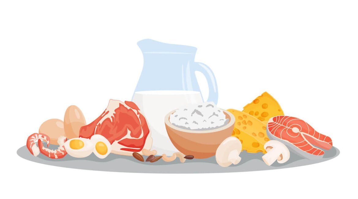 Роль белков в организме