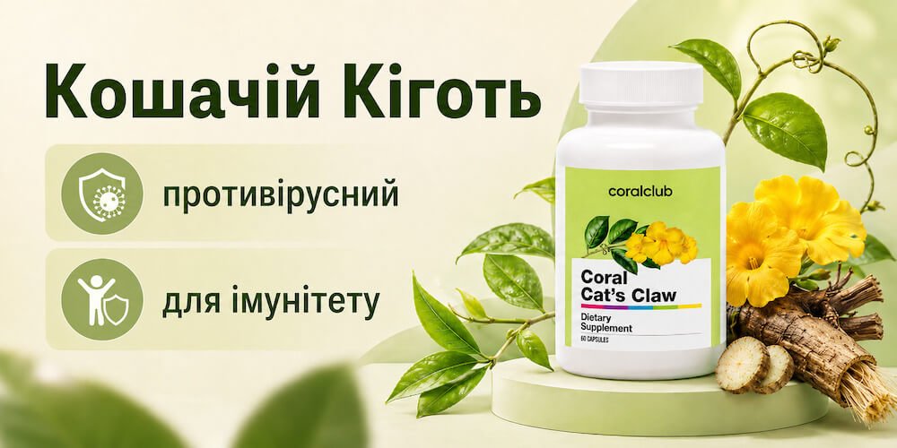 Кошачій Кіготь Корал Клуб Кошачій Кіготь Корал Клуб
